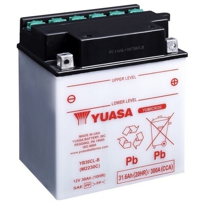 Accu Yuasa YB30CL-B