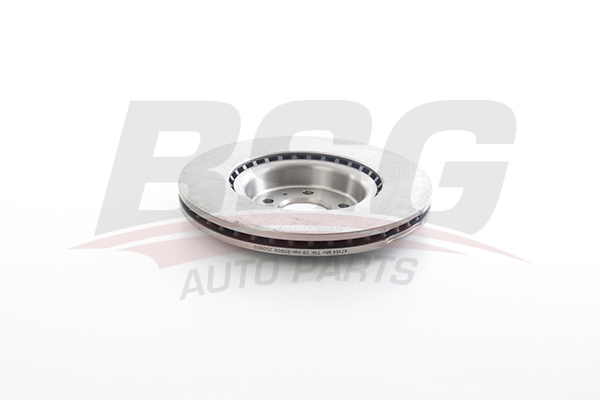 BSG Remschijven BSG 11-210-004