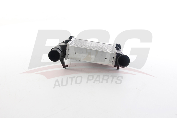 BSG Interkoeler BSG 11-535-005