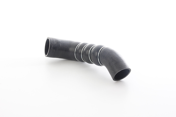 Laadlucht-/turboslang BSG BSG 11-720-008