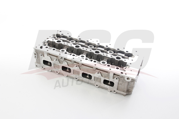 BSG Cilinderkop BSG 25-110-009