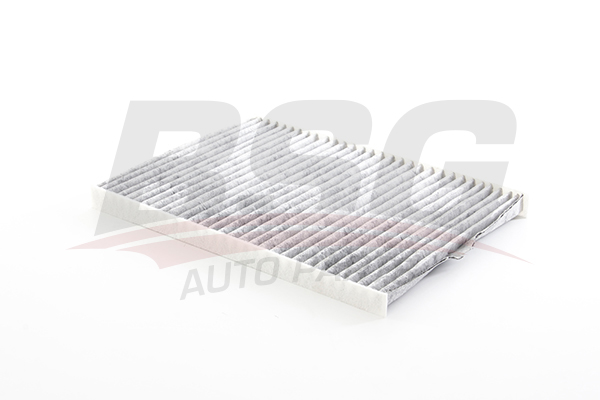 BSG Interieurfilter BSG 25-145-017