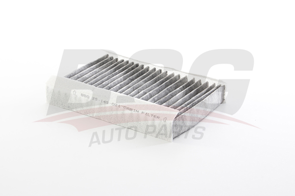 BSG Interieurfilter BSG 25-145-021