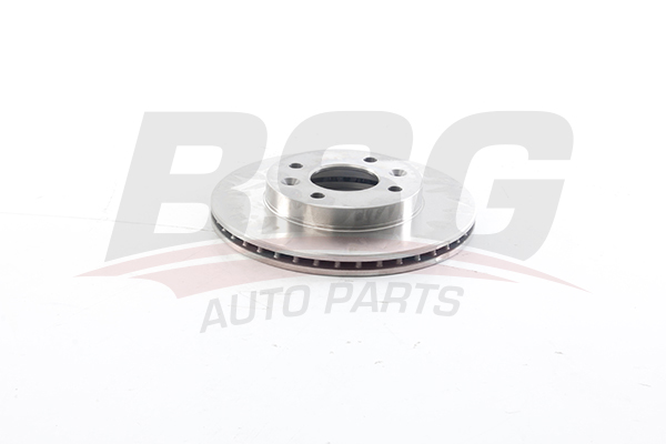 BSG Remschijven BSG 25-210-014