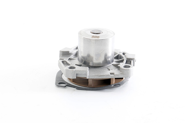 Waterpomp BSG BSG 25-500-007