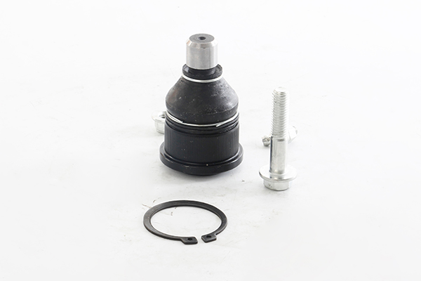 Fuseekogel BSG BSG 55-310-001 Fuseekogel BSG BSG 55-310-001