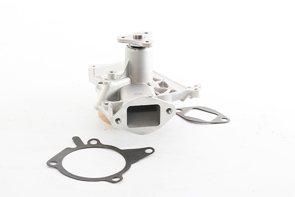 Waterpomp BSG BSG 55-500-002