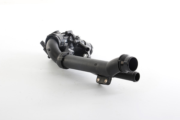 Thermostaat BSG BSG 60-125-019