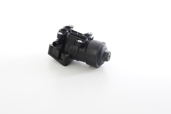 Oliefilterhuis BSG BSG 90-507-011