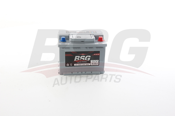 BSG Accu BSG 99-997-047