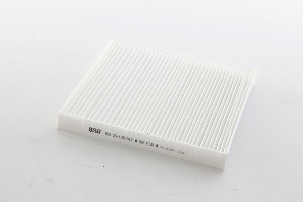 Interieurfilter BSG BSG 25-145-012 Interieurfilter BSG BSG 25-145-012
