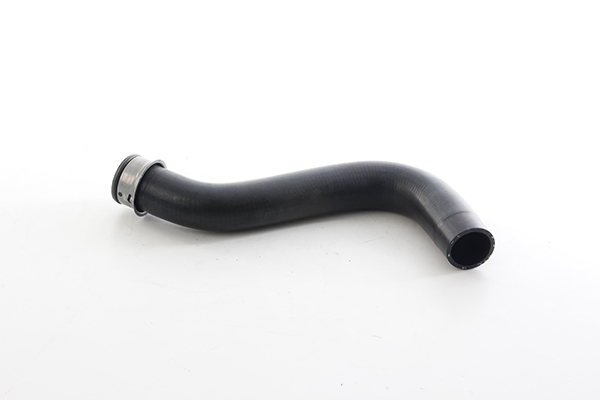 Radiateurslang BSG BSG 60-720-268