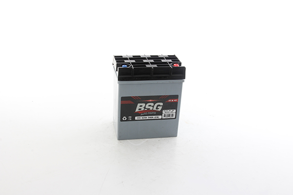 Accu BSG BSG 99-997-001 Accu BSG BSG 99-997-001
