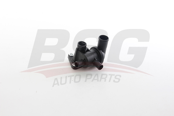 Koelvloeistofflens BSG BSG 40-126-031