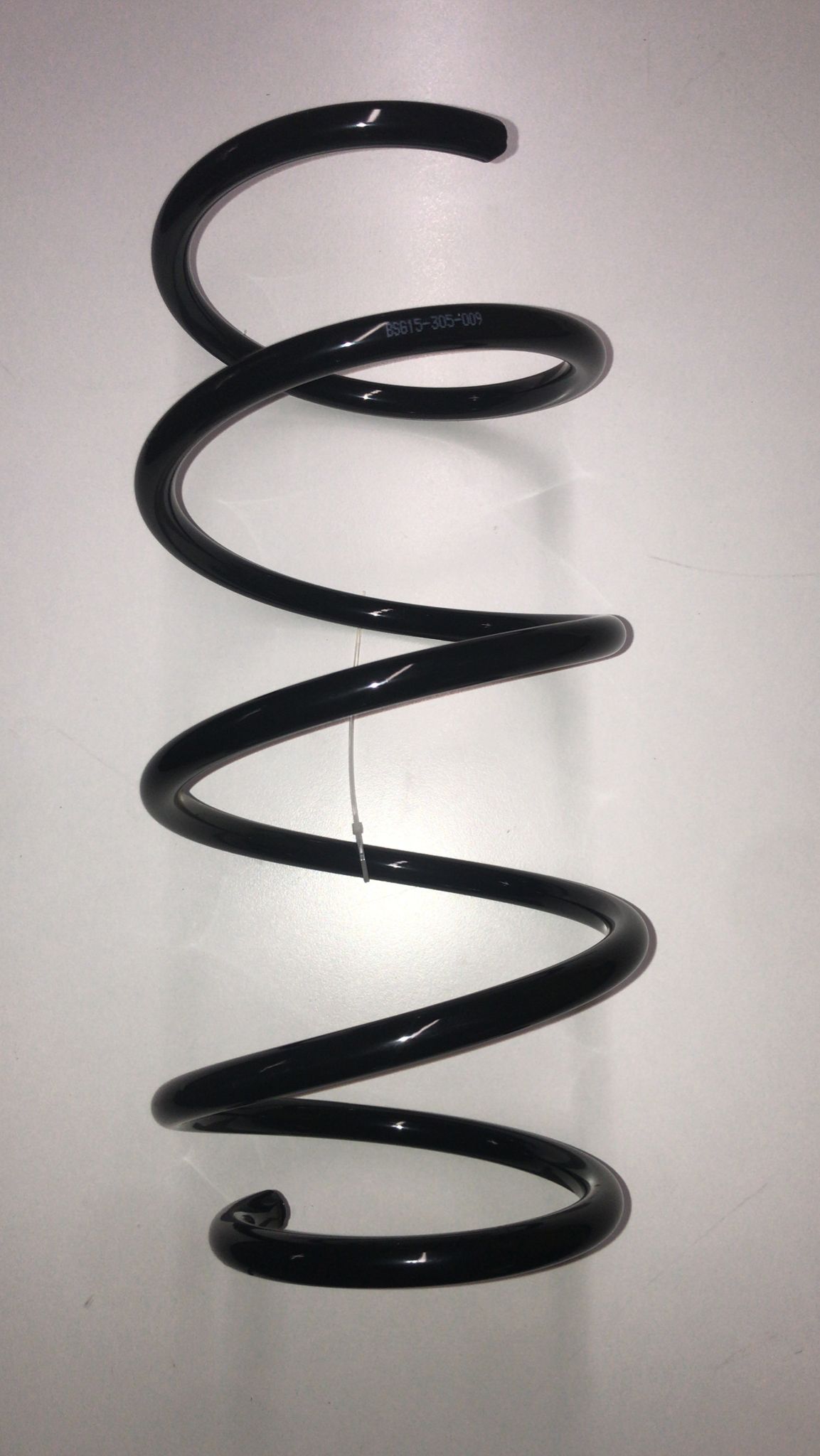 BSG Veer BSG 15-305-009