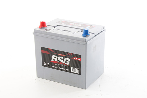 Accu BSG BSG 99-997-018