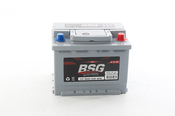 Accu BSG BSG 99-997-047 Accu BSG BSG 99-997-047