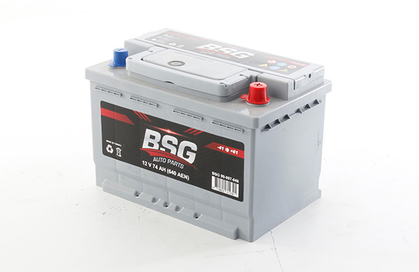 Accu BSG BSG 99-997-048