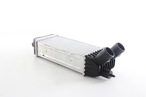 Interkoeler BSG BSG 25-535-019 Interkoeler BSG BSG 25-535-019