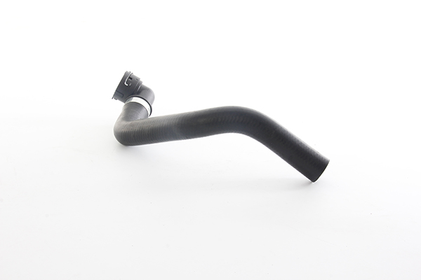 Radiateurslang BSG BSG 25-720-020