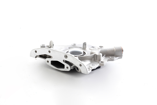 Oliepomp BSG BSG 30-101-005 Oliepomp BSG BSG 30-101-005