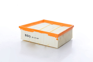 Luchtfilter BSG BSG 30-137-007