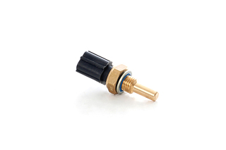 Temperatuursensor BSG BSG 30-840-069