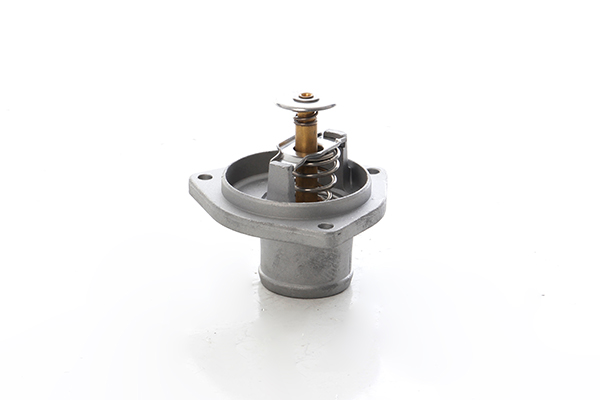 Thermostaat BSG BSG 60-125-025