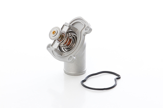 Thermostaat BSG BSG 65-125-020