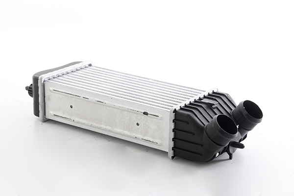 Interkoeler BSG BSG 70-535-010