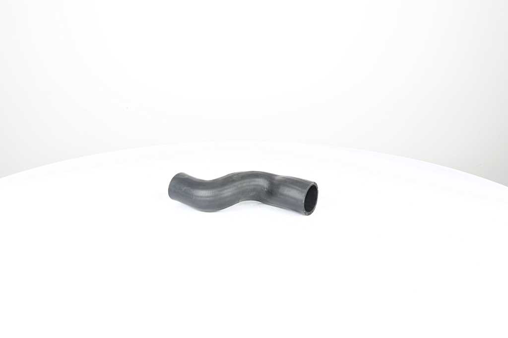 Laadlucht-/turboslang BSG BSG 30-720-247