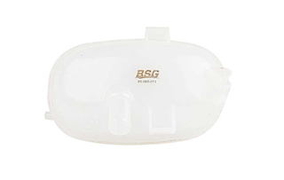 Expansievat BSG BSG 65-550-011