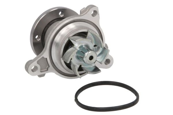 Waterpomp Thermotec D10538TT