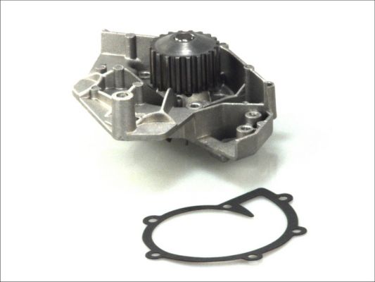 Thermotec Waterpomp D1P017TT