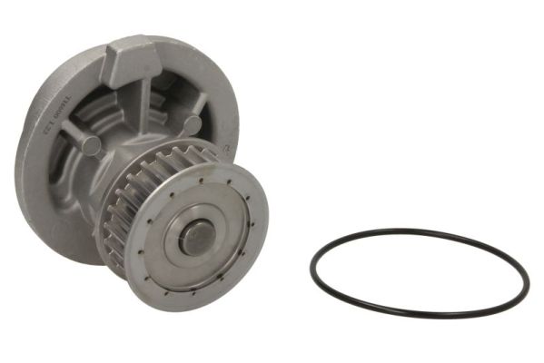 Thermotec Waterpomp D1X021TT