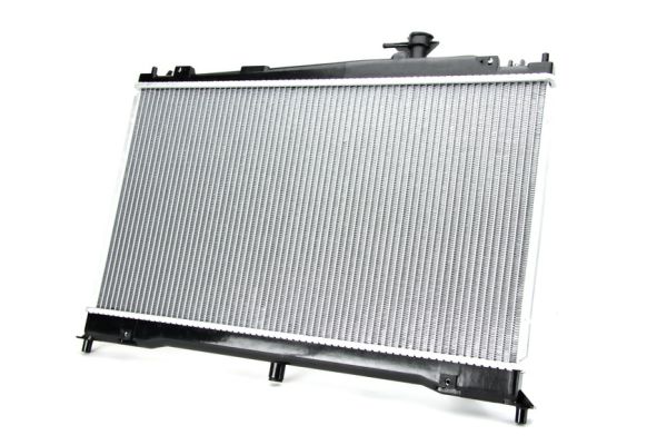 Radiateur Thermotec D73010TT