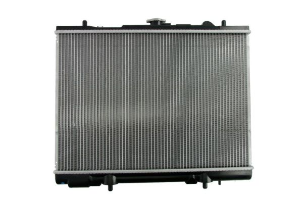 Radiateur Thermotec D75014TT