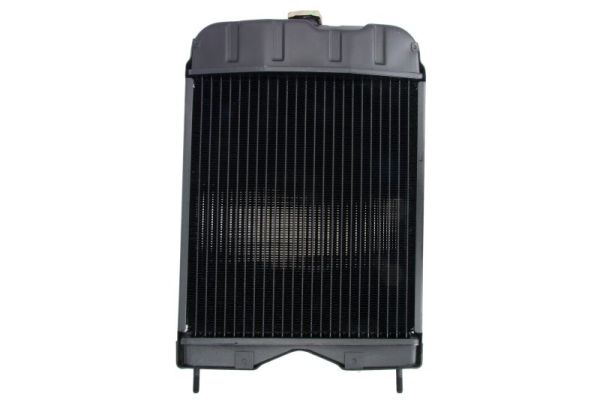 Radiateur Thermotec D7AG124TT