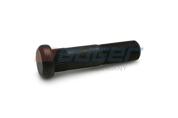 Wielbout/moer Auger 83831