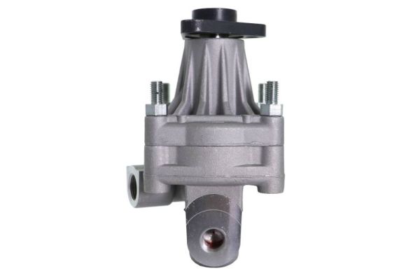 Lauber Servopomp 55.0039