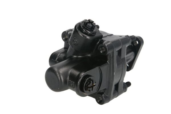 Lauber Servopomp 55.0039