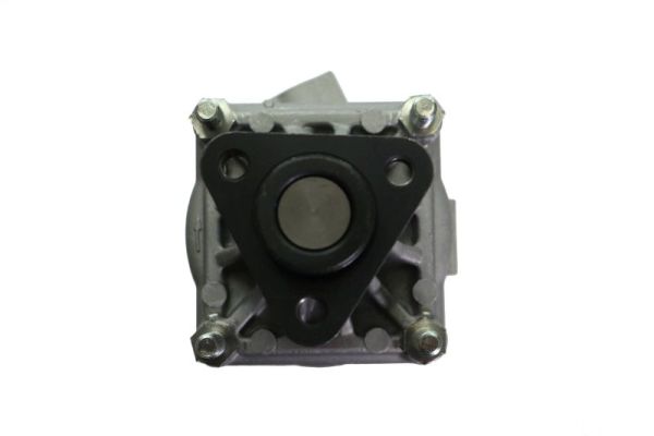 Lauber Servopomp 55.0039