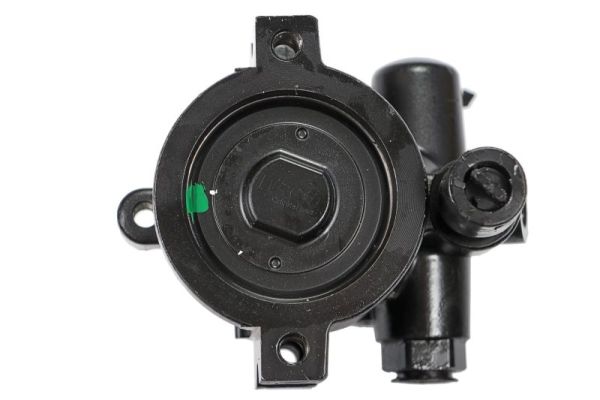 Lauber Servopomp 55.0048