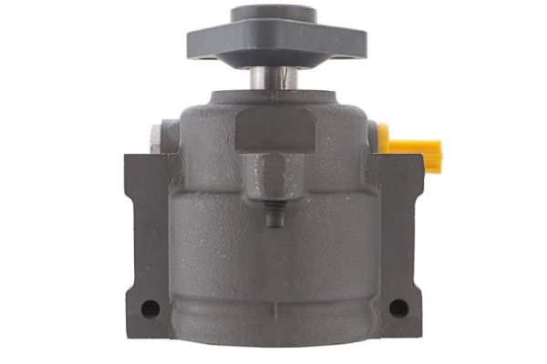 Lauber Servopomp 55.0172