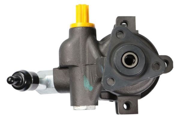 Lauber Servopomp 55.0172