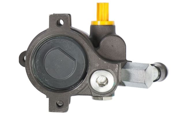 Lauber Servopomp 55.0172