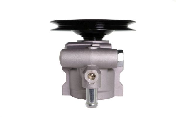 Lauber Servopomp 55.0250