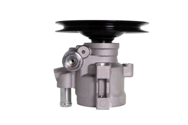Lauber Servopomp 55.0250