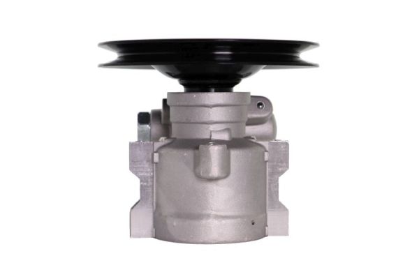 Lauber Servopomp 55.0250