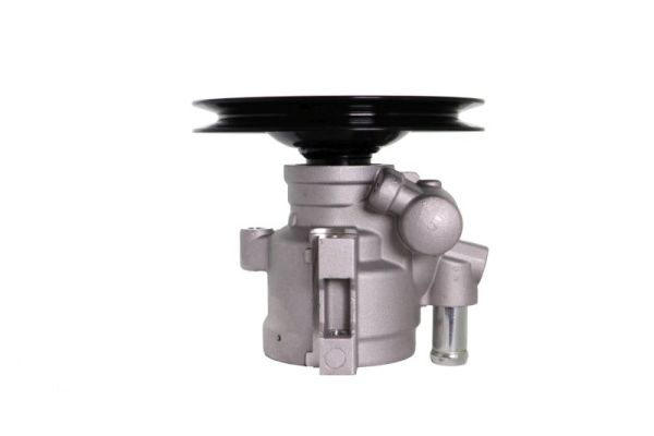 Lauber Servopomp 55.0250